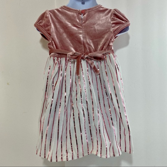 Toddler Girl Youngland Velvet Pleated Skirt Dress - Picture 5 of 16